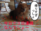 BlogPaint