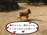 BlogPaint