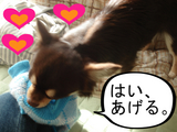 BlogPaint