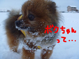 BlogPaint