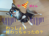 BlogPaint