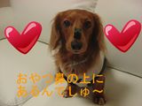 BlogPaint