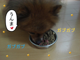 BlogPaint