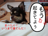 BlogPaint