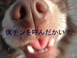 BlogPaint