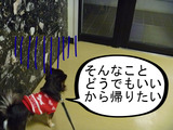 BlogPaint
