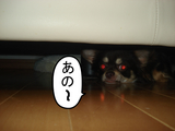 BlogPaint