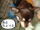 BlogPaint