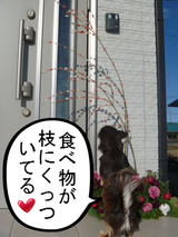 BlogPaint