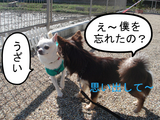BlogPaint