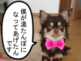 BlogPaint