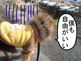 BlogPaint