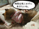 BlogPaint