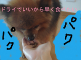 BlogPaint