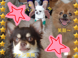 BlogPaint