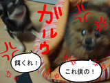BlogPaint