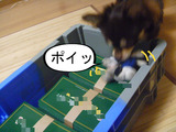 BlogPaint
