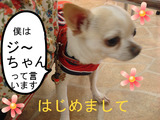 BlogPaint