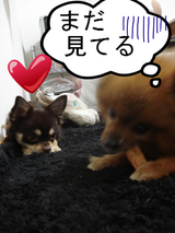 BlogPaint