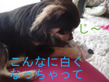 BlogPaint