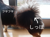 BlogPaint