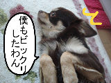 BlogPaint