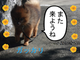BlogPaint