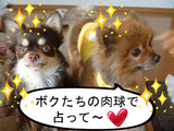 BlogPaint