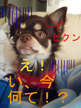 BlogPaint