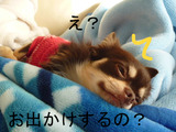 BlogPaint