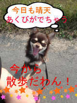 BlogPaint