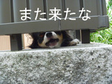 BlogPaint