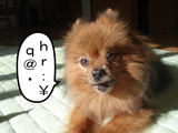 BlogPaint
