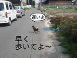 BlogPaint