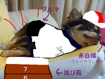 BlogPaint