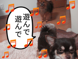 BlogPaint