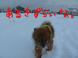 BlogPaint
