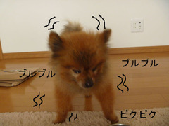 BlogPaint