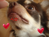 BlogPaint