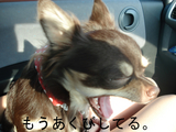 BlogPaint