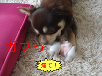 BlogPaint