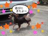 BlogPaint