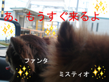 BlogPaint