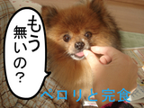 BlogPaint