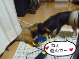 BlogPaint