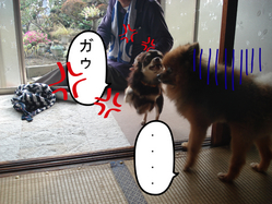 BlogPaint