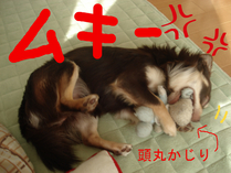 BlogPaint