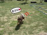 BlogPaint
