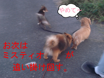 BlogPaint
