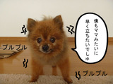 BlogPaint